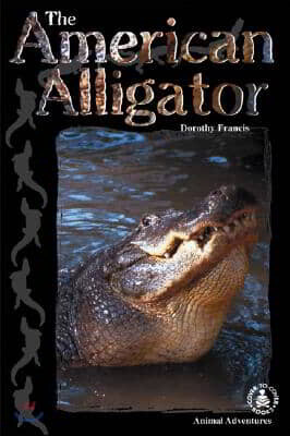 The American Alligator