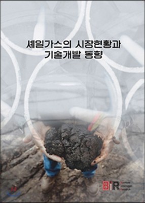 셰일가스의 시장현황과 기술개발 동향