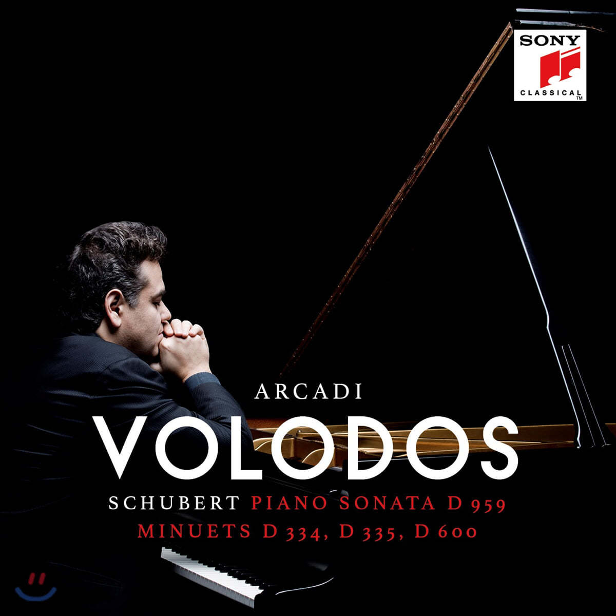 Arcadi Volodos 슈베르트: 피아노 소나타와 미뉴에트 (Schubert: Piano Sonata D.959)