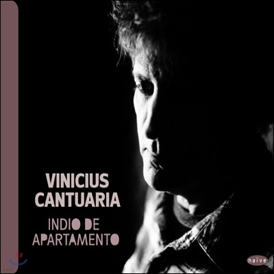 Vinicius Cantuaria - Indio De Apartamento