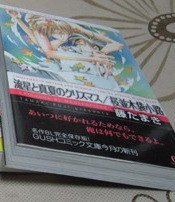 流星と眞夏のクリスマス/櫻竝木袋小路