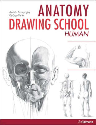 Anatomy Drawing School: Human Anatomy