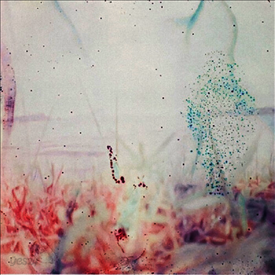 Pluralone - To Be One With You (LP)