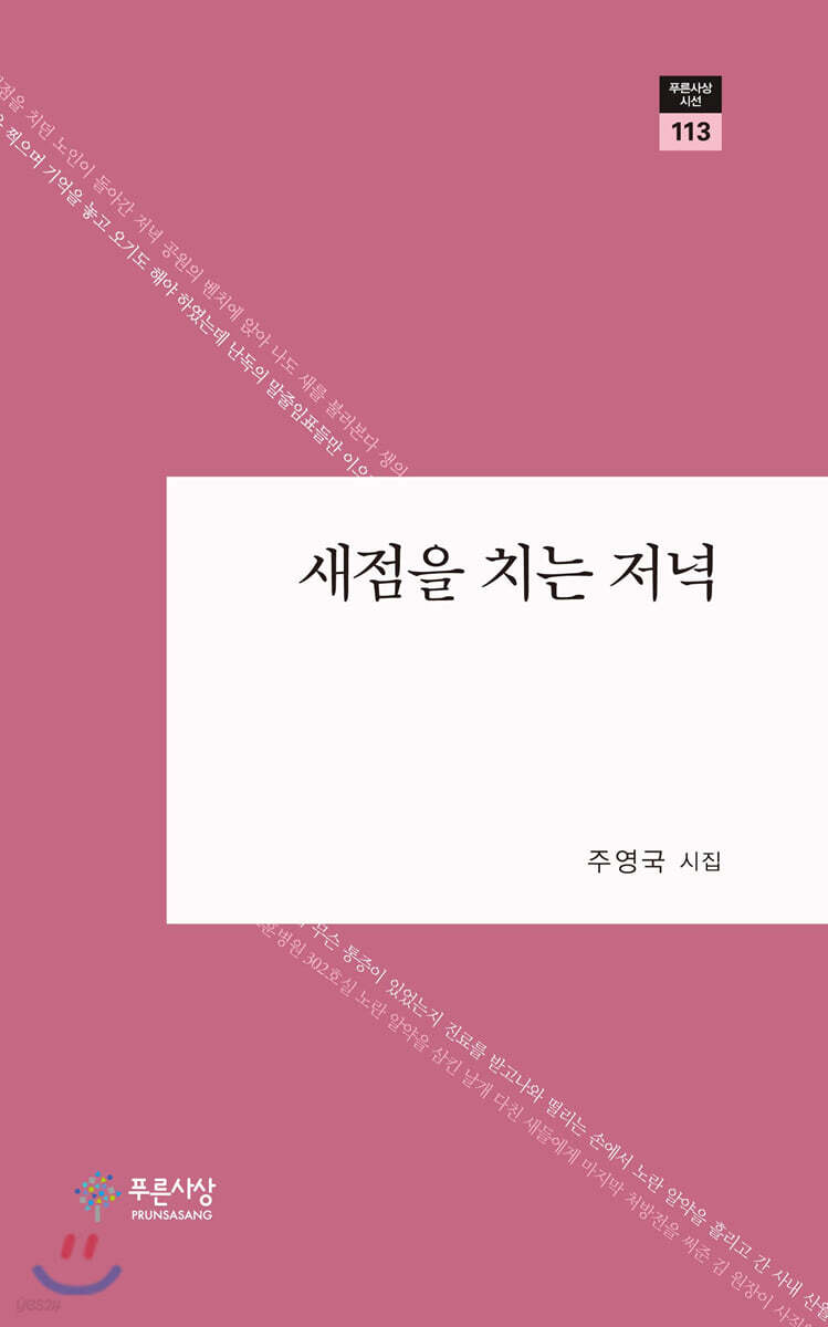 새점을 치는 저녁