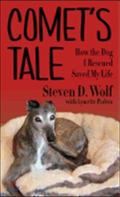 Comet's Tale