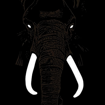 Palm Unit — Don't Buy Ivory Anymore! - Music Of Henri Texier 앨범 커버