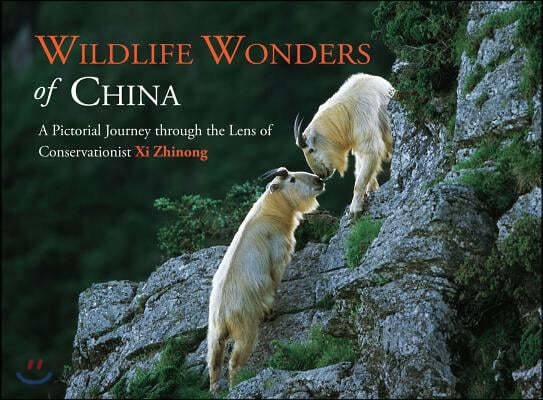 Wildlife Wonders of China