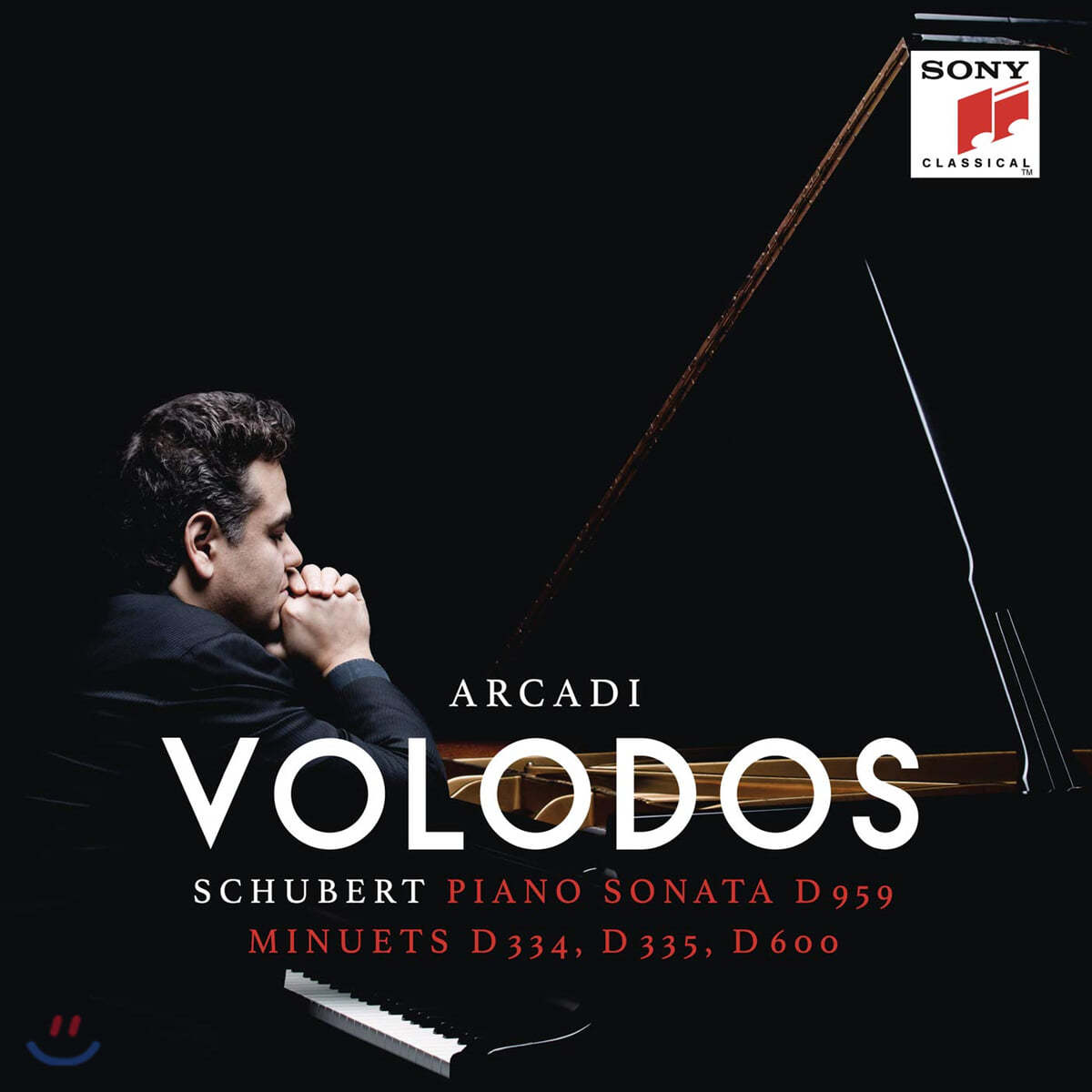 Arcadi Volodos 슈베르트: 피아노 소나타와 미뉴에트 - 아르카디 볼로도스 (Schubert: Piano Sonata D.959) [2LP]
