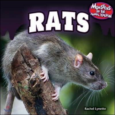 Rats