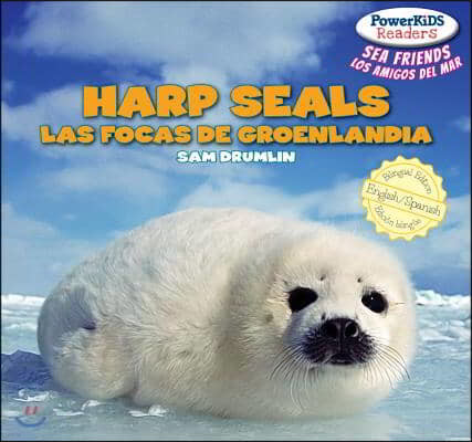 Harp Seals / Las Focas de Groenlandia