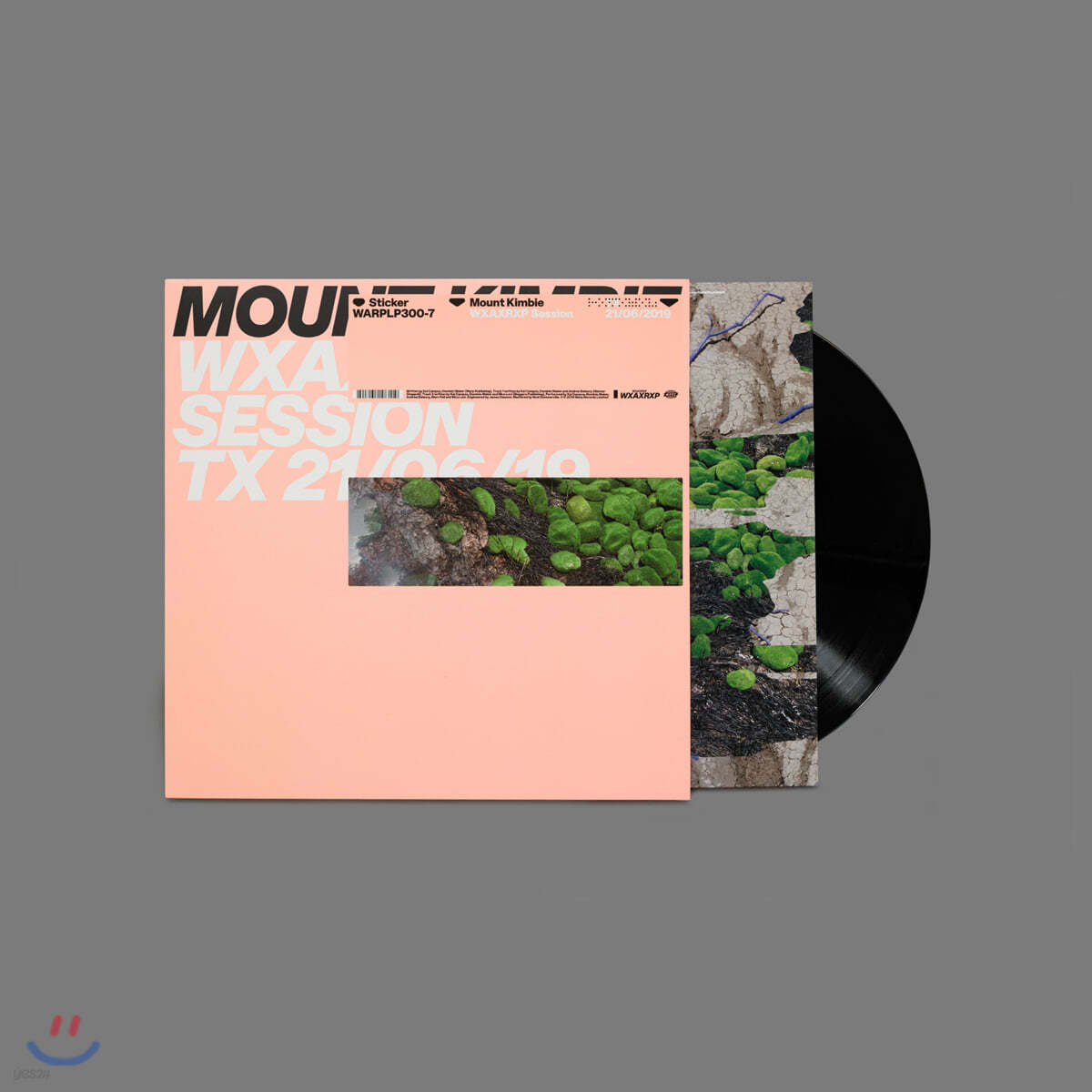 Mount Kimbie (마운트 킴비) - WXAXRXP Session [LP]