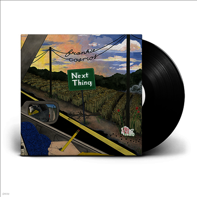 Frankie Cosmos — Next Thing 앨범 커버