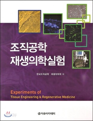 조직공학 재생의학실험