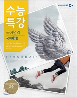 EBS 수능특강 국어영역 국어 B형 (2013년)