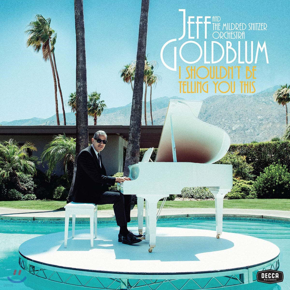 Jeff Goldblum &amp; The Mildred Snitzer Orchestra (제프 골드블룸 앤 더 마일드레드 스닛쳐 오케스트라) - I Shouldn&#39;t Be Telling You This
