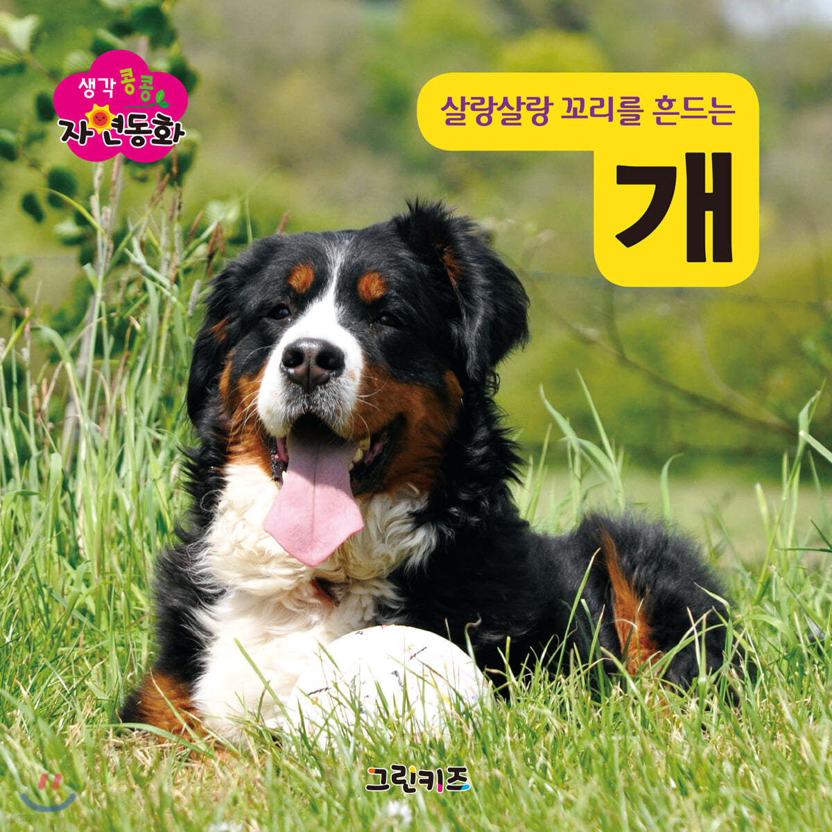 생각콩콩 자연동화 : 개