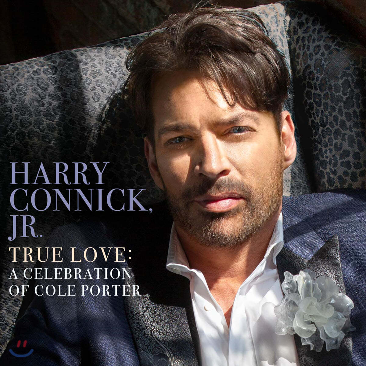 Harry Connick Jr. (해리 코닉 주니어) - True Love: A Celebration Of Cole Porter [2LP]