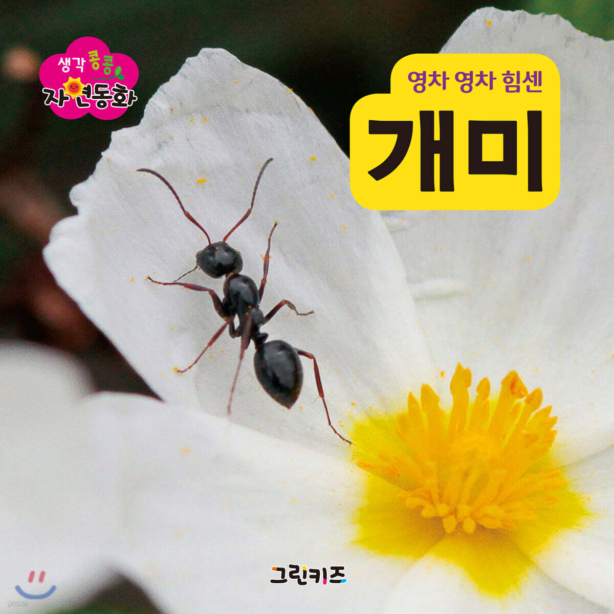 생각콩콩 자연동화 : 개미