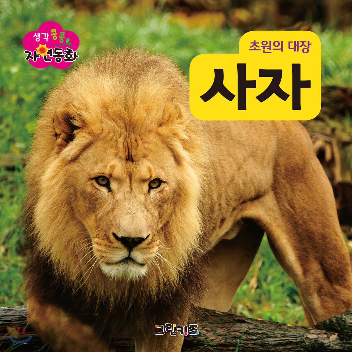 생각콩콩 자연동화 : 사자 - 예스24