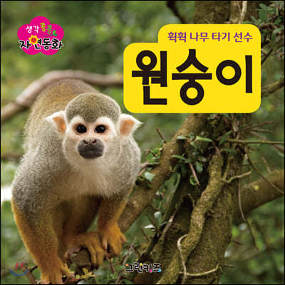 생각콩콩 자연동화 : 원숭이