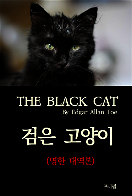 검은 고양이