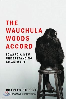 Wauchula Woods Accord