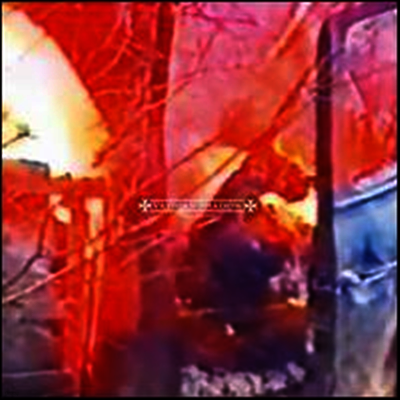Vatican Shadow — Ornamented Walls 앨범 커버