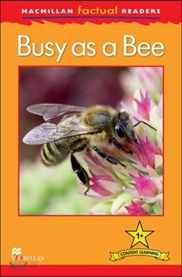 Macmillan Factual Readers Level 1+: Busy as a Bee