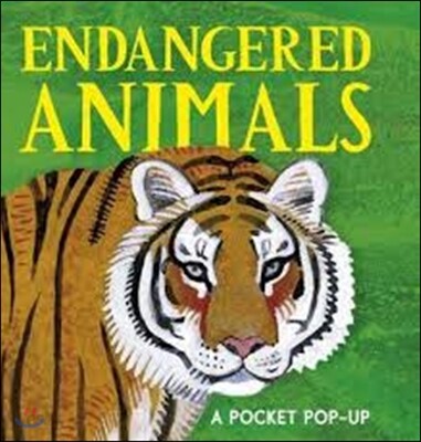 Endangered Animals: a Pocket Pop-up