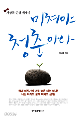 미쳐야 청춘이다