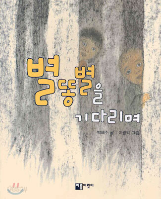 별똥별을 기다리며