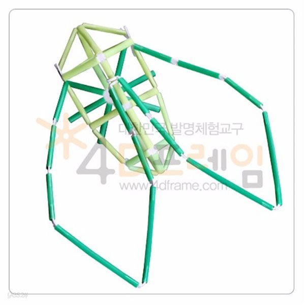 포디프레임 4D 곤충-매미