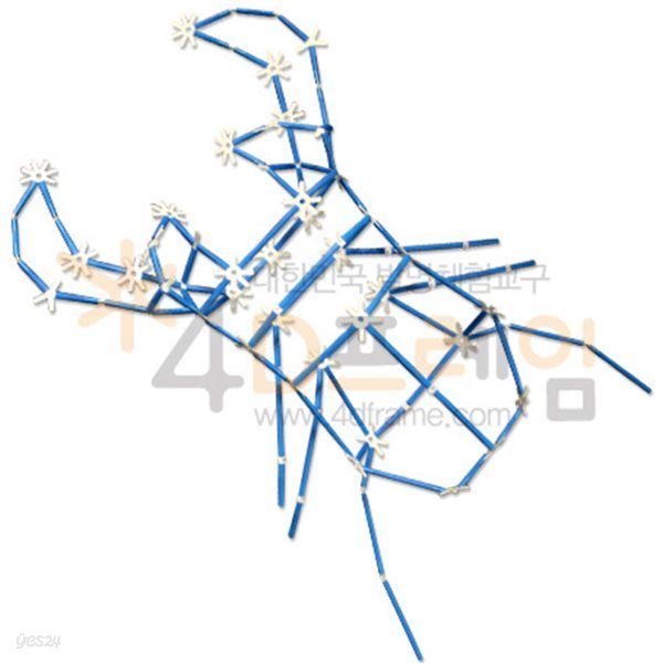 포디프레임 4D 곤충-사슴벌레