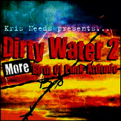 Various Artists — Dirty Water, Vol. 2: More Birth of Punk Attitude 앨범 커버