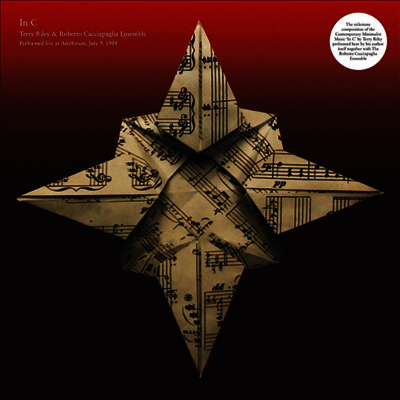 Terry Riley & Roberto Cacciapaglia Ensemble — In C/Live At Afterforum 앨범 커버