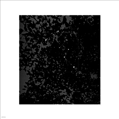 Masato Minami — The Tropics (Limited Edition) 앨범 커버