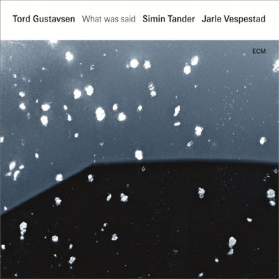 Tord Gustavsen - What Was Said (Vinyl 2LP)