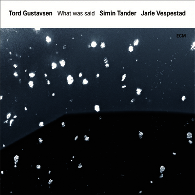 Tord Gustavsen — What Was Said 앨범 커버
