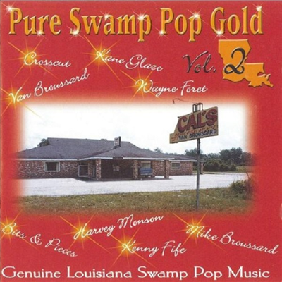 Various Artists - Pure Swamp Pop Gold 2 (CD)