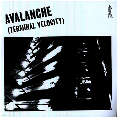 Erol Alkan — Avalanche (Terminal Velocity) (12Inch Single) 앨범 커버