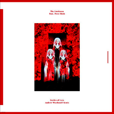Liminanas — Garden Of Love (Andrew Weatherall Remix) (12Inch Single) 앨범 커버