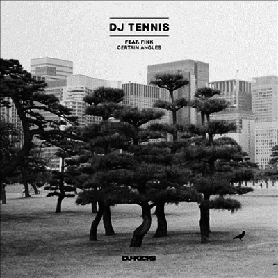 DJ Tennis Feat Fink — Certain Angles (12Inch Single) 앨범 커버