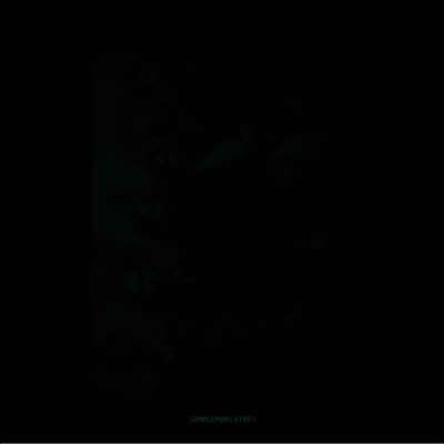 Other Lives - Tamer Animals / Other Side (12Inch Single)(LP)