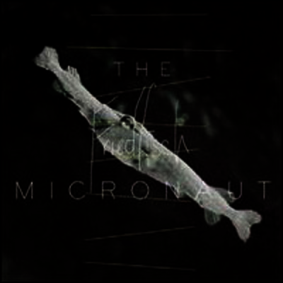 Micronaut — Friedfisch (12Inch Single) 앨범 커버