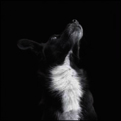 Be Svendsen — Catchpenny & Cosmos (12Inch Single) 앨범 커버
