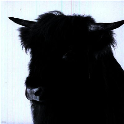 Rich Vom Dorf — Blankenforde (12Inch Single) 앨범 커버