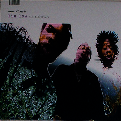 New Flesh — Lie Low (X2) (12Inch Single) 앨범 커버