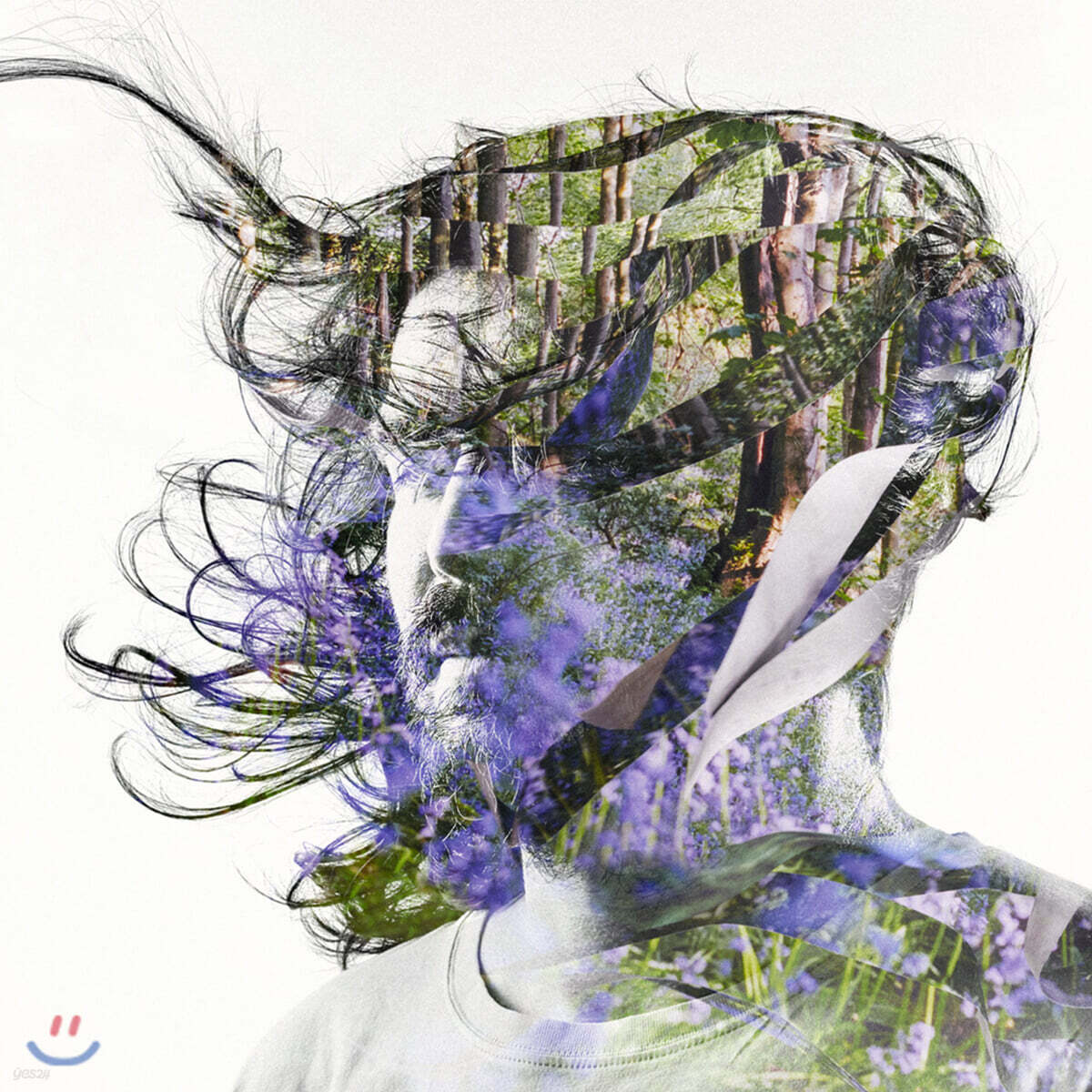 Bibio (비비오) - Ribbons [2LP]