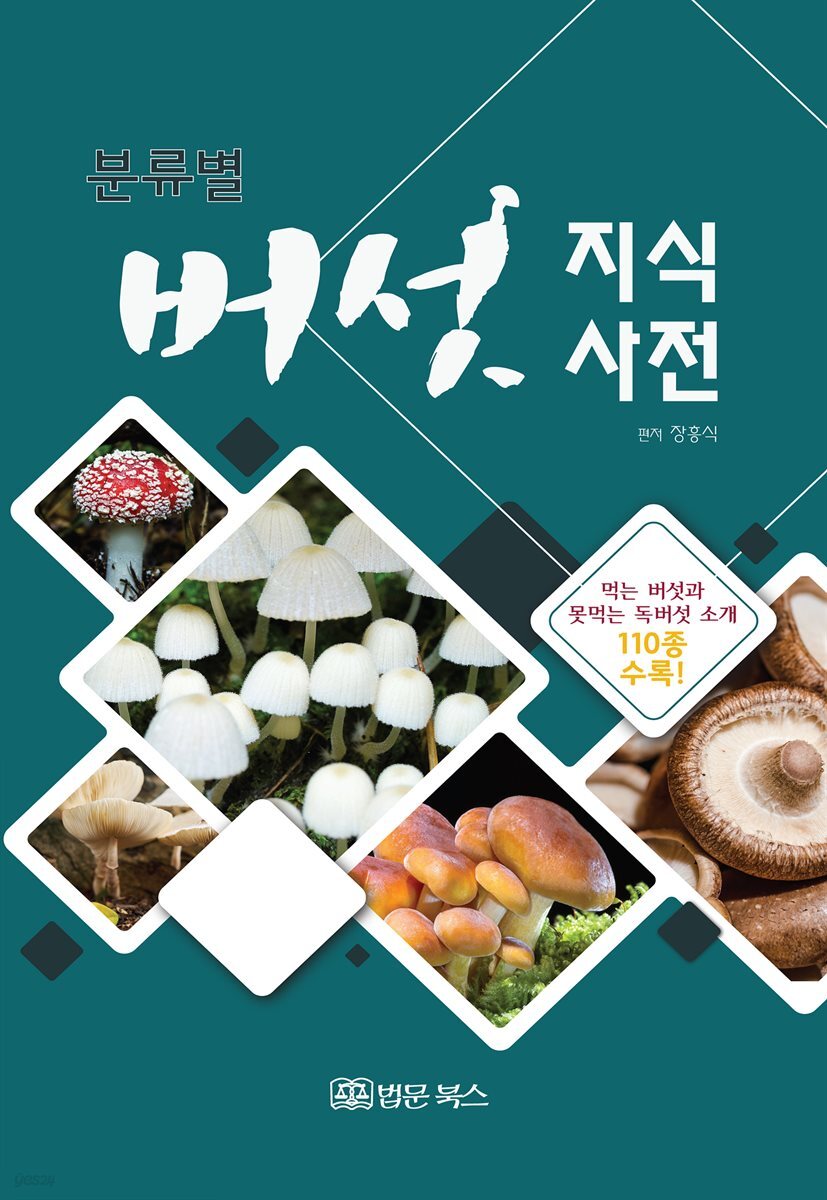 분류별 버섯 지식사전