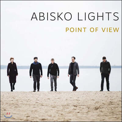 Abisko Lights - Point Of View